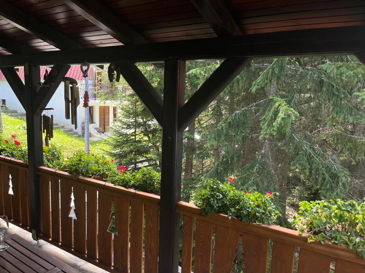 Vila Idila Žabljak Exteriér fotografie