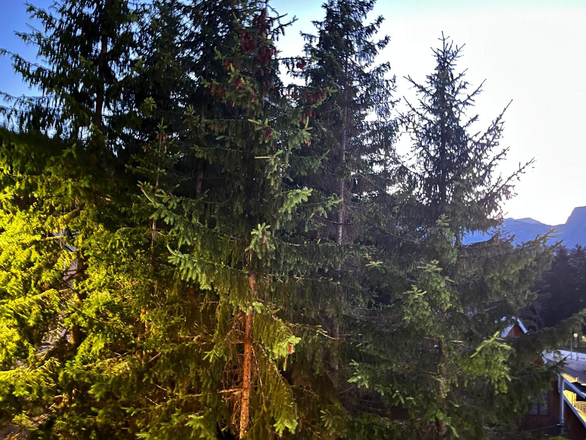 Vila Idila Žabljak Exteriér fotografie